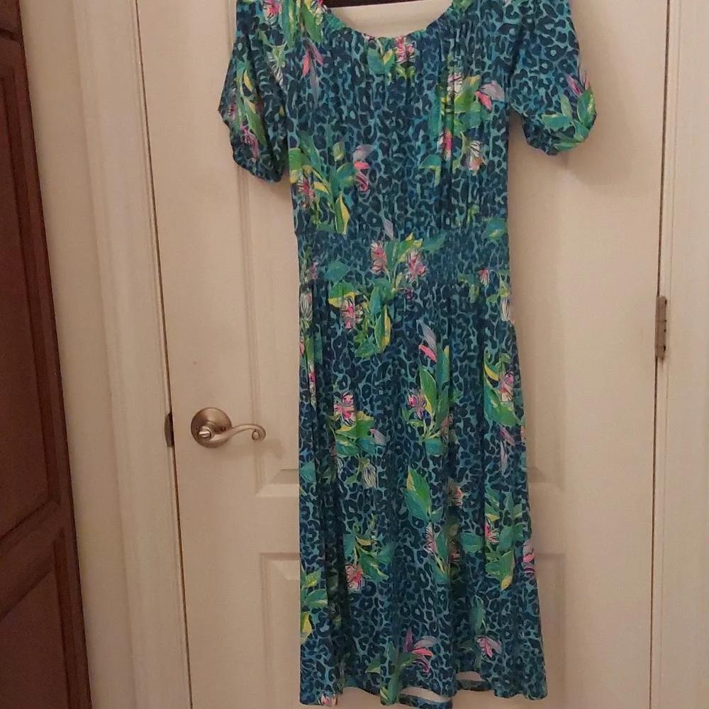 NWT Lilly Pulitzer Camille Knee Length Dress size L - Picture 2 of 3